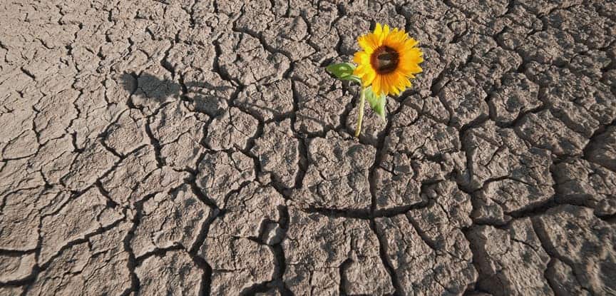 Como Desenvolver a Resiliência Emocional